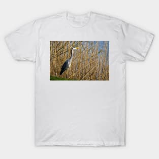 Grey Heron among the reeds T-Shirt